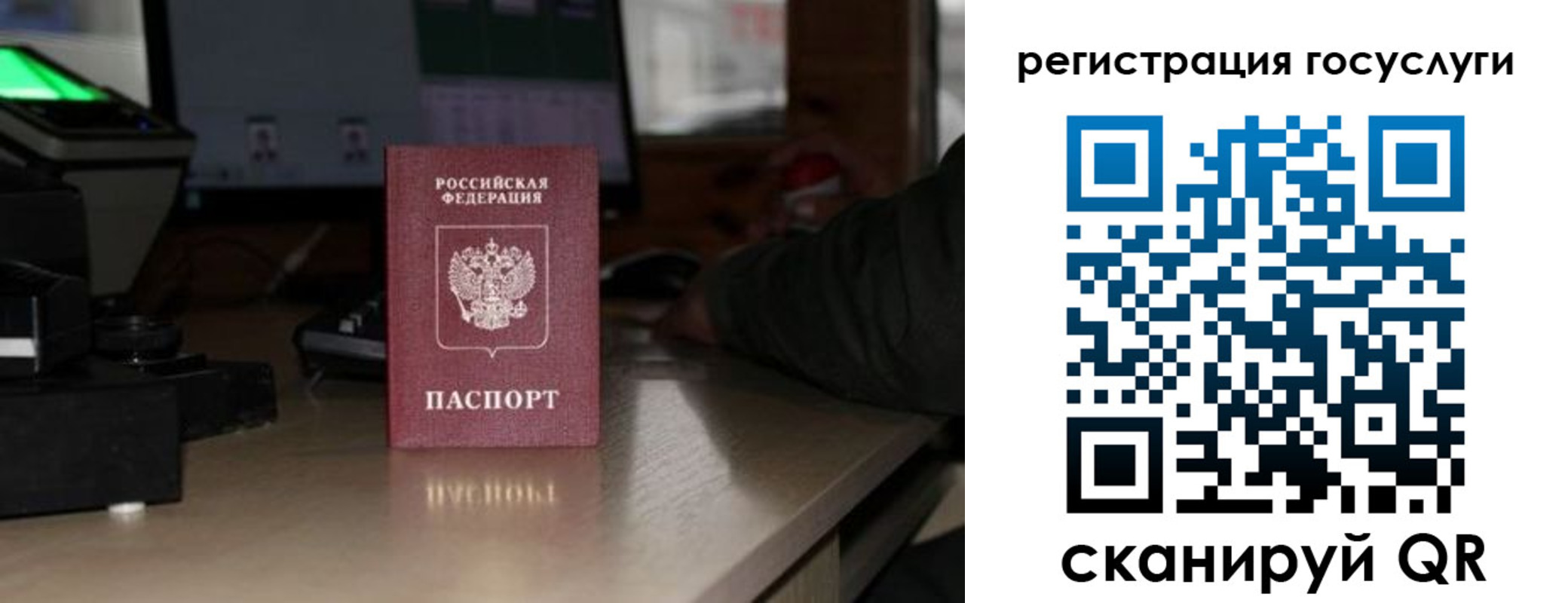 прописка законно в Зее